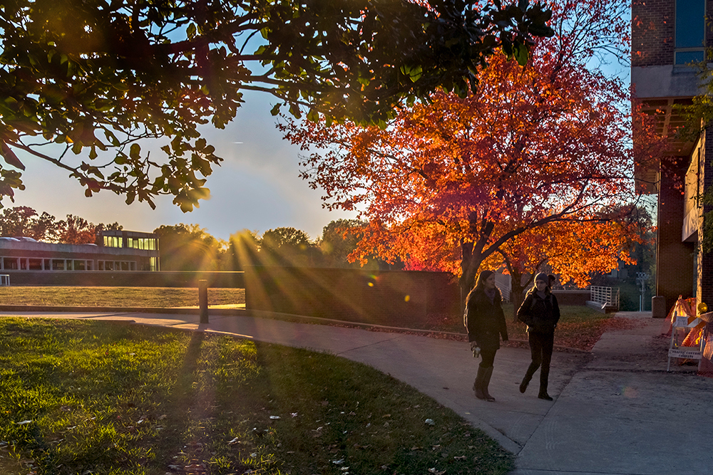 Spring 2024 Course Schedule